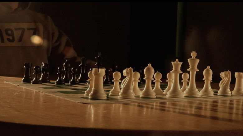 кадр из фильма Open File