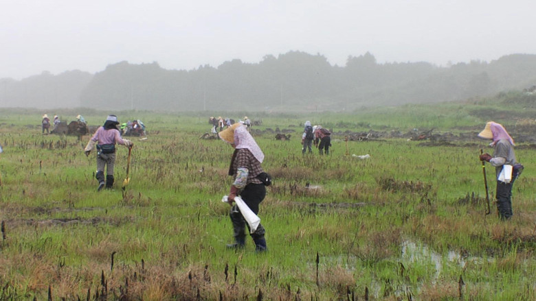 кадр из фильма Furusato - Wunde Heimat