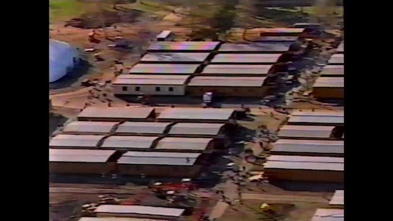 кадр из фильма 1994 Northridge Earthquake