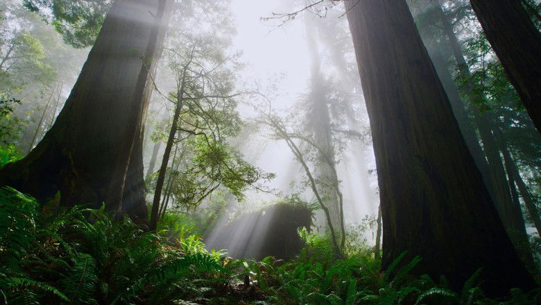 кадр из фильма Giants Rising