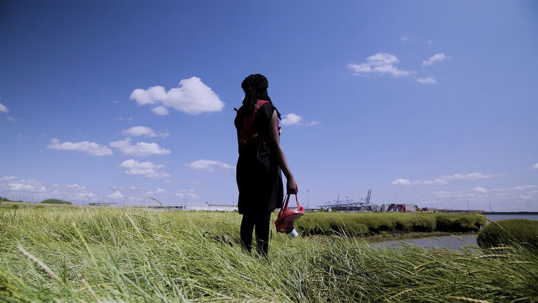 кадр из фильма Wayfinder