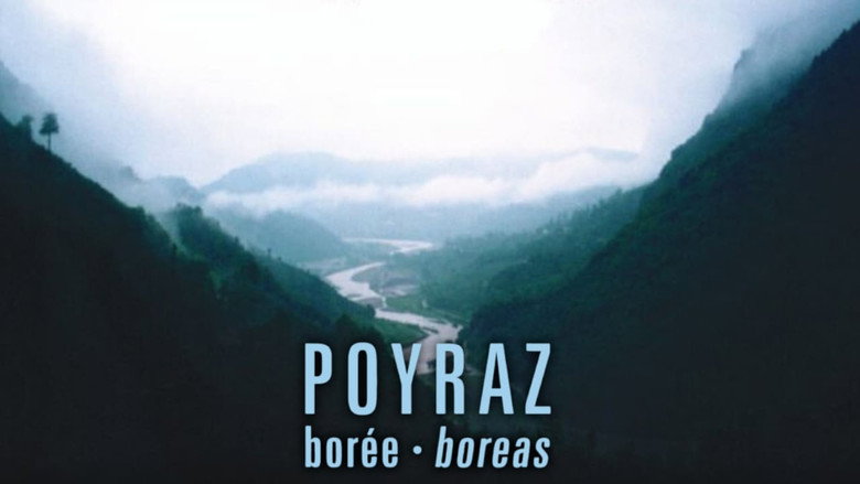 кадр из фильма Poyraz