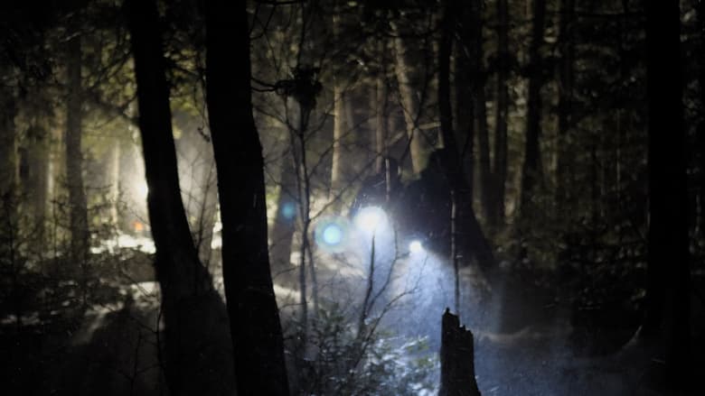 кадр из фильма Before Dawn