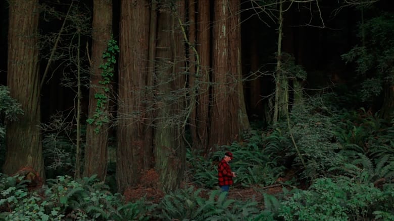 кадр из фильма Behind the Redwood Curtain