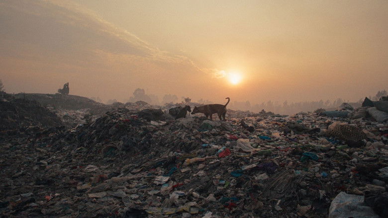 кадр из фильма Plastic Fantastic