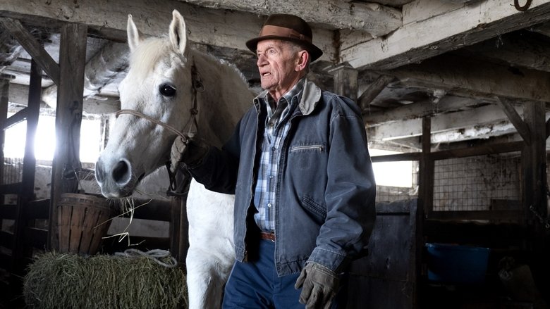 кадр из фильма Падение