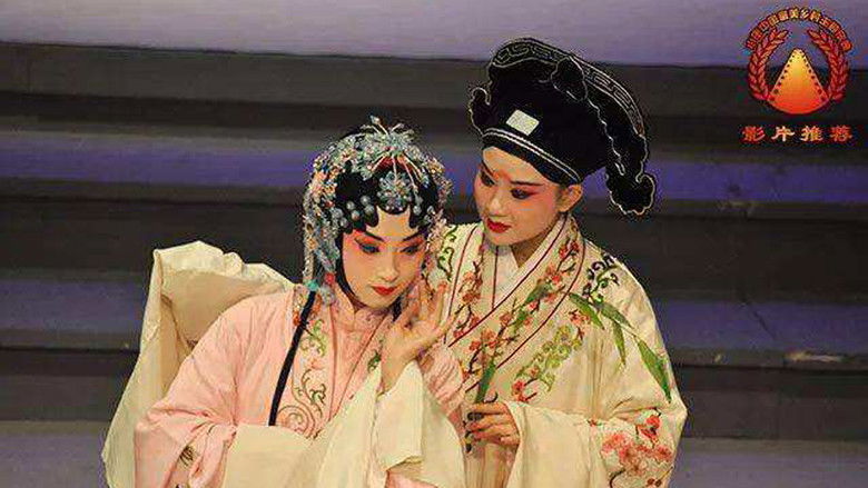 кадр из фильма 又见牡丹亭