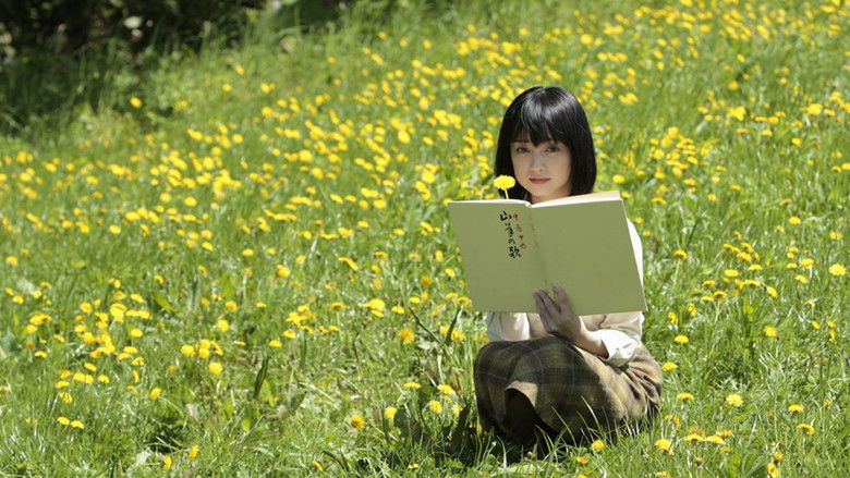 кадр из фильма 野のなななのか