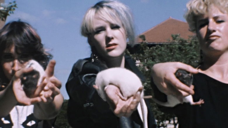 кадр из фильма Skate Witches