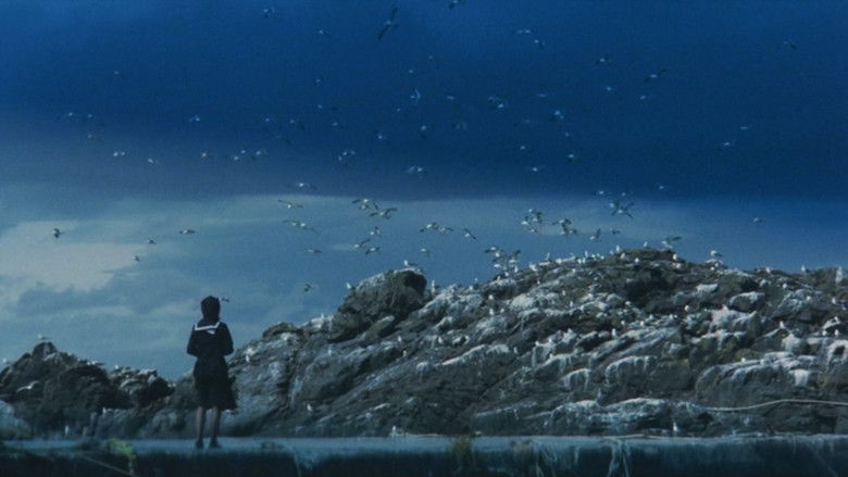 кадр из фильма 愛情物語