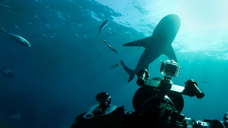 кадр из фильма Самая огромная акула-бык