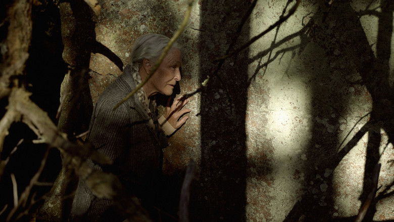 кадр из фильма The Summer Book