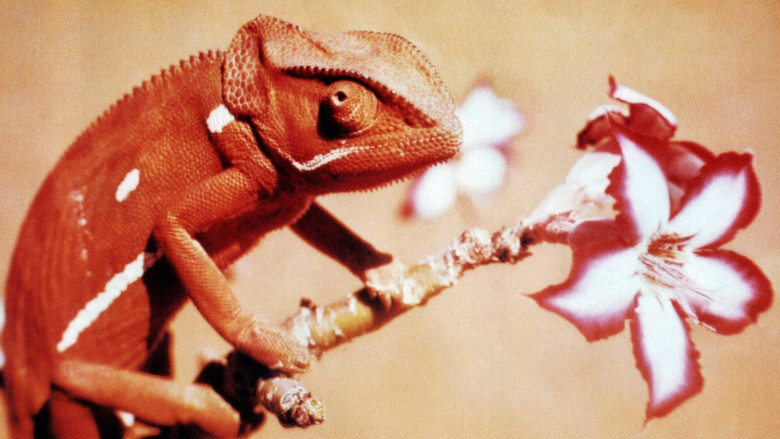 кадр из фильма Животные — прекрасные люди