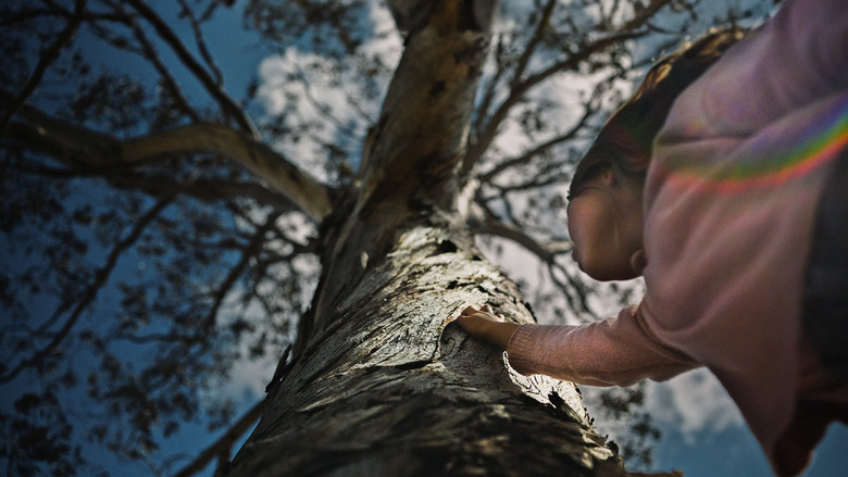 кадр из фильма The Skeleton Tree