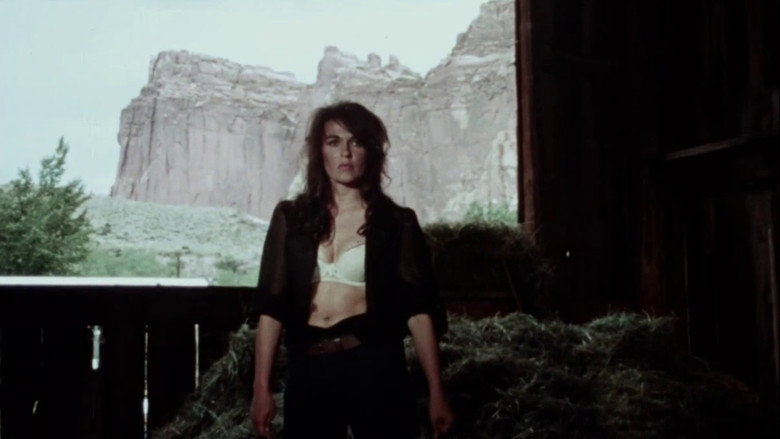 кадр из фильма The Female Bunch