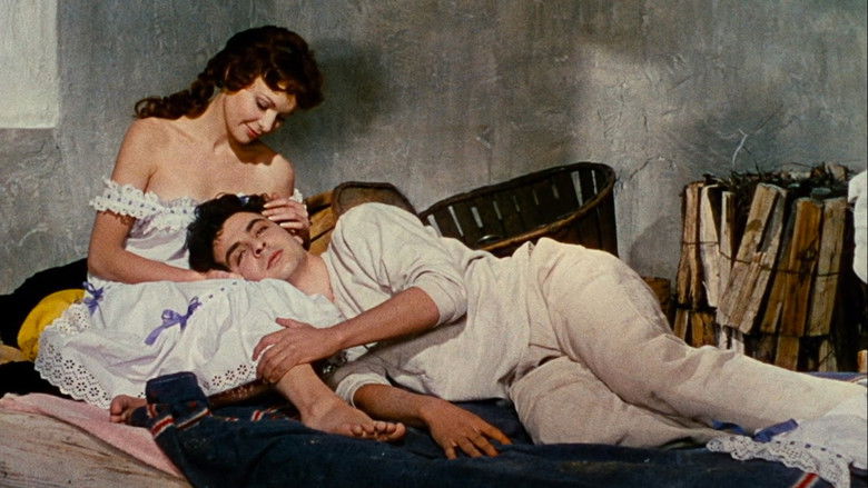 кадр из фильма Французский канкан