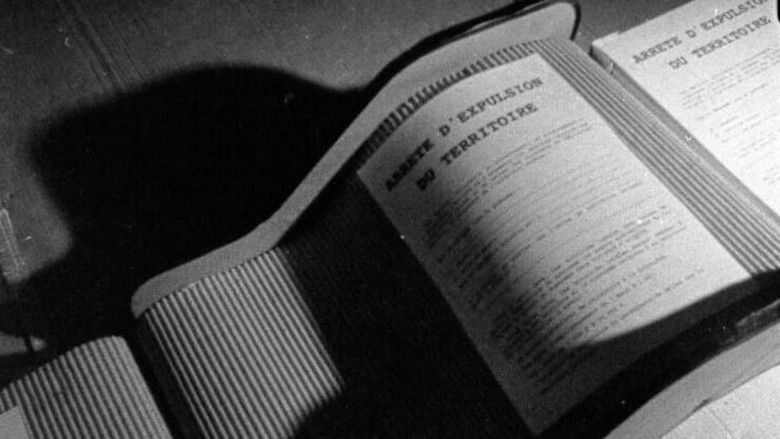 кадр из фильма 100 papiers