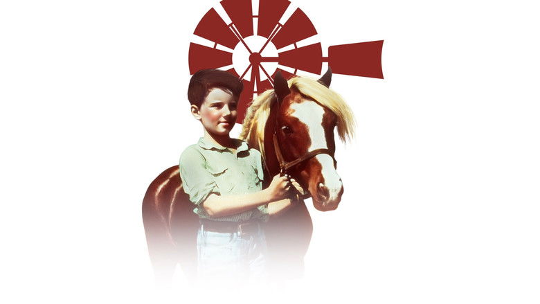 кадр из фильма Рыжий пони