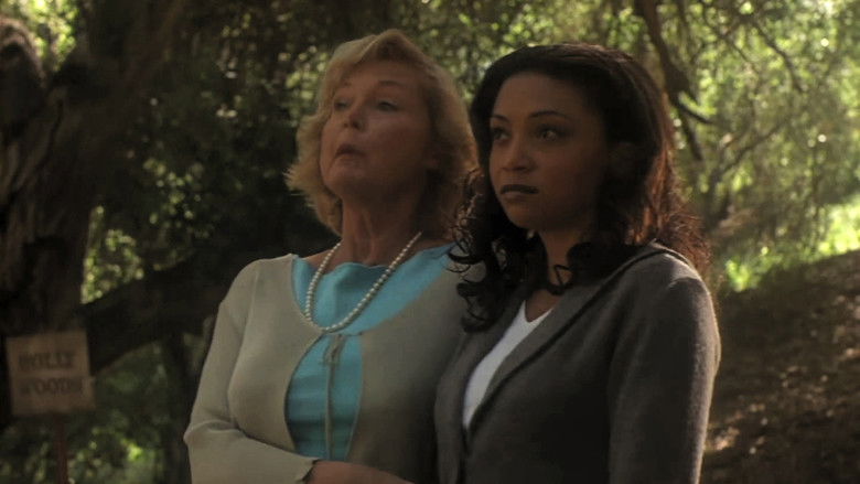 кадр из фильма A Light in the Forest