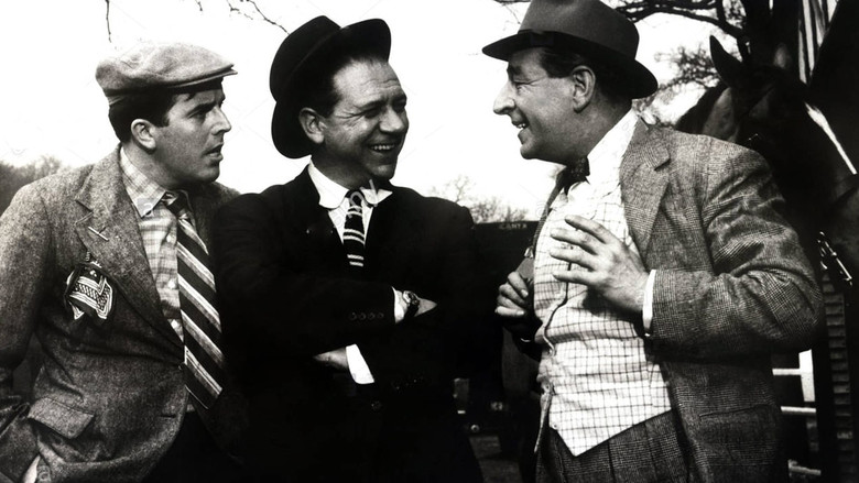 кадр из фильма Dry Rot