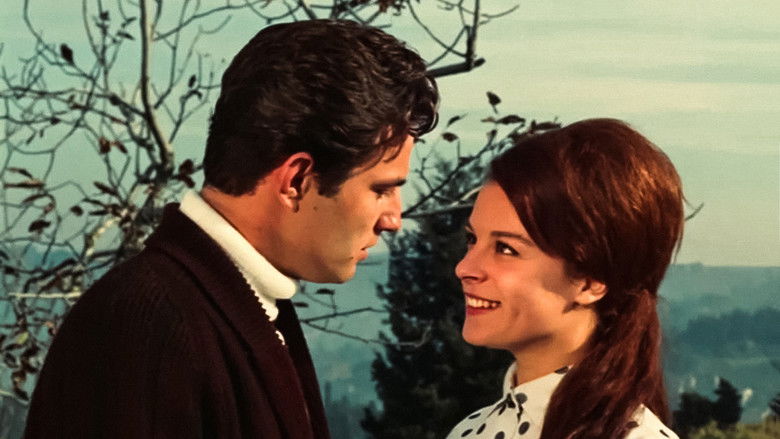 кадр из фильма Hıçkırık