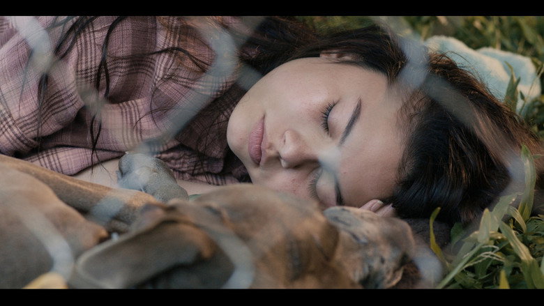 кадр из фильма The Moon and The Night