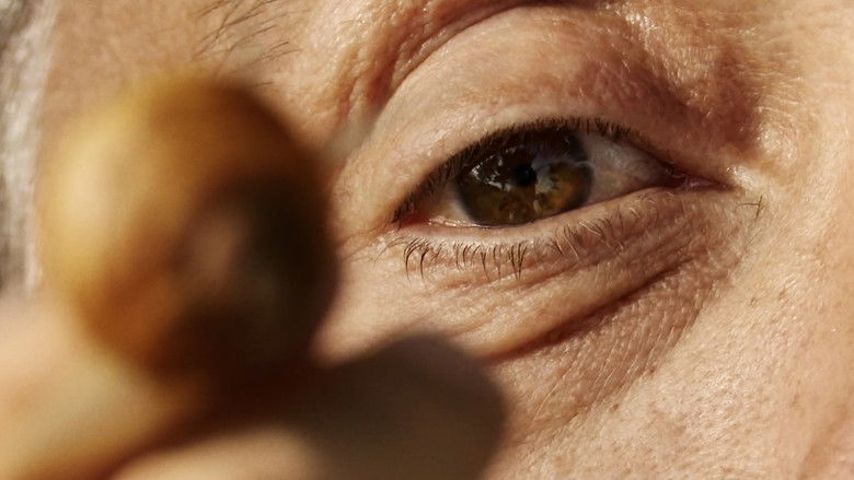 кадр из фильма L'homme des passés