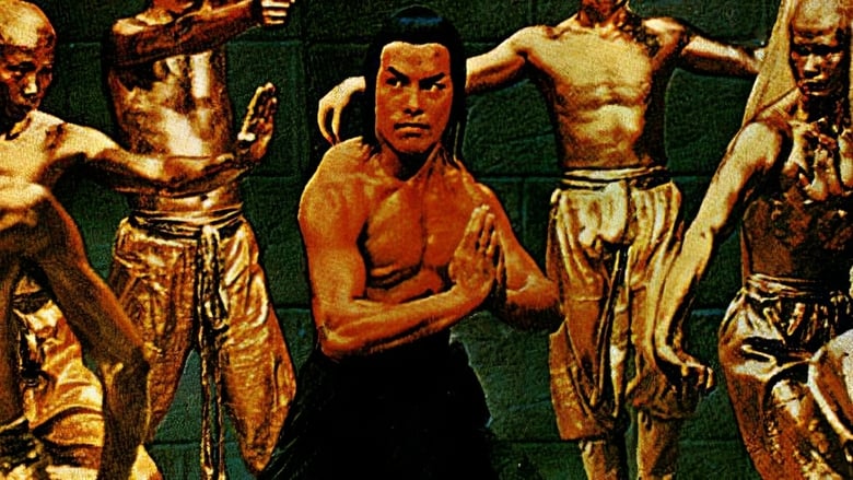 кадр из фильма 萬法歸宗一少林