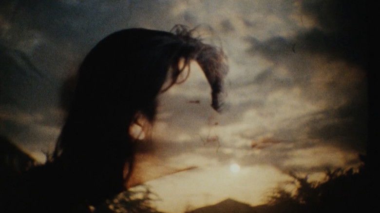 кадр из фильма DIRECT LIGHT