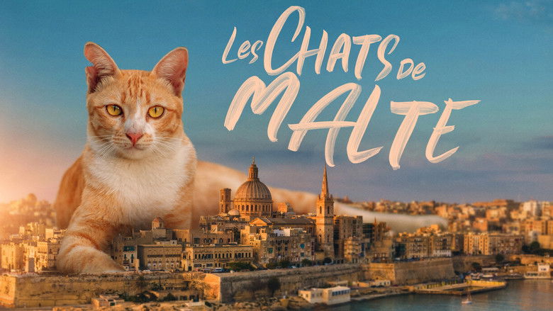 кадр из фильма Cats of Malta