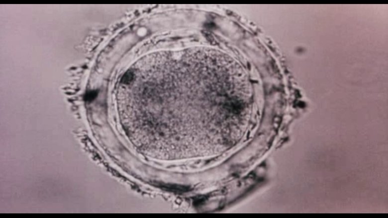 кадр из фильма Bodysong