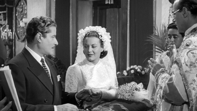 кадр из фильма Torna!