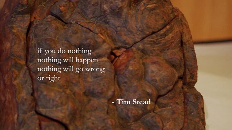 кадр из фильма Tim Stead: Magician With Wood