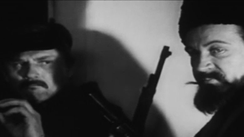 Раны земли нашей