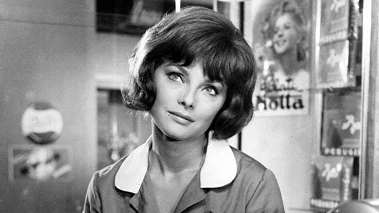 кадр из фильма Дамы и господа