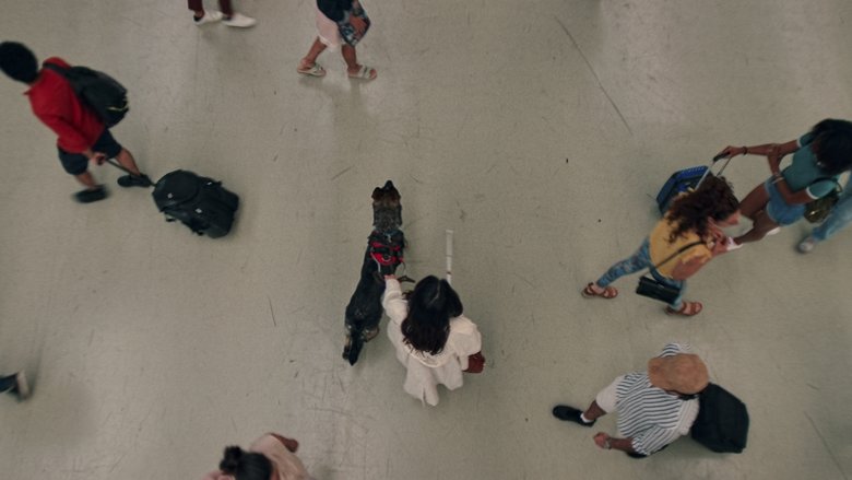 кадр из фильма Тёмные очки