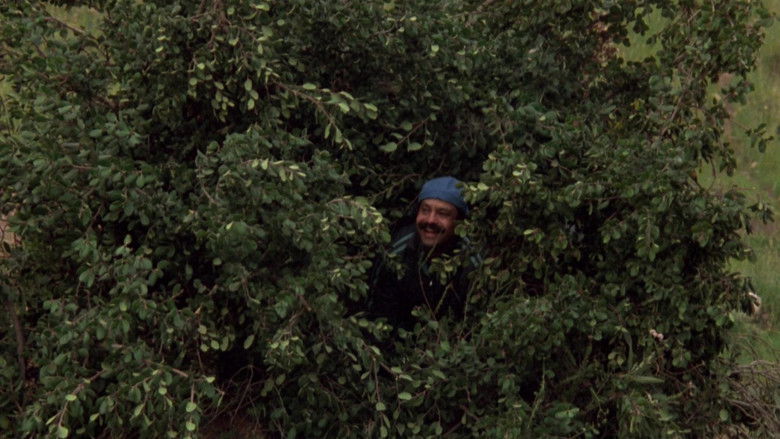 кадр из фильма Born in East L.A.