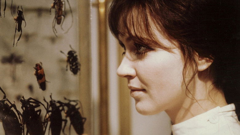 кадр из фильма L'Alliance