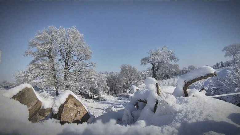 кадр из фильма Belief#0