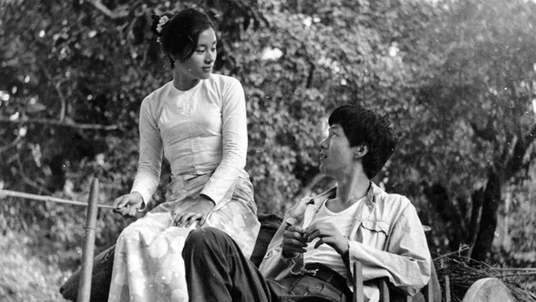 кадр из фильма 青春祭