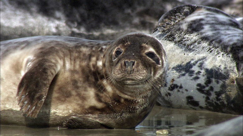 кадр из фильма Die Nordsee - Unser Meer