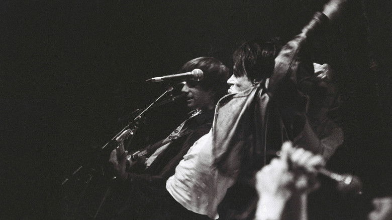 Sonic Youth: Screaming Fields of Sonic Love