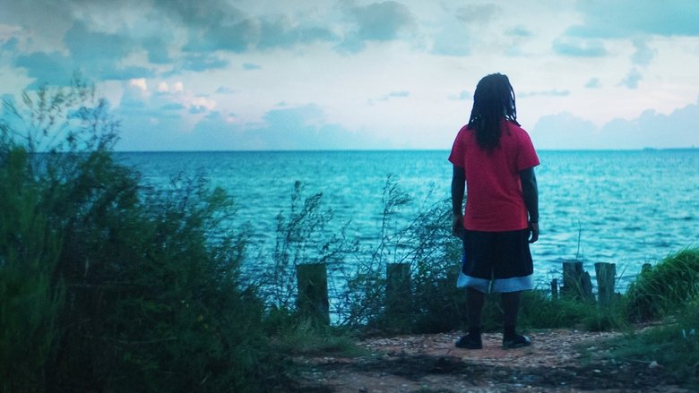 кадр из фильма Descendant