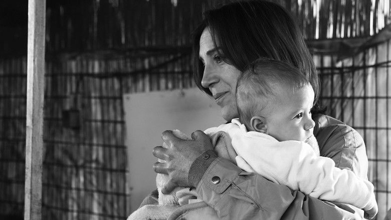 кадр из фильма Χαρά