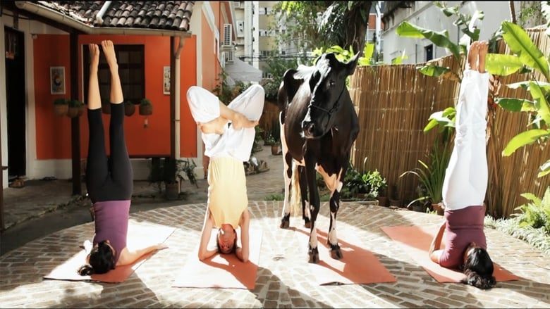 кадр из фильма Animal Político
