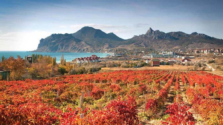 кадр из фильма Коктебельские камешки