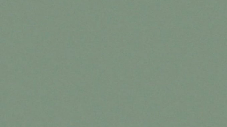 кадр из фильма Gina Telaroli