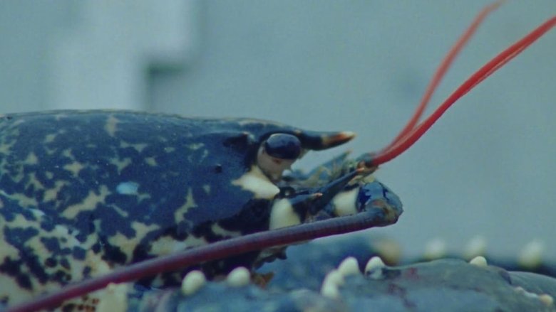 кадр из фильма Godspeed