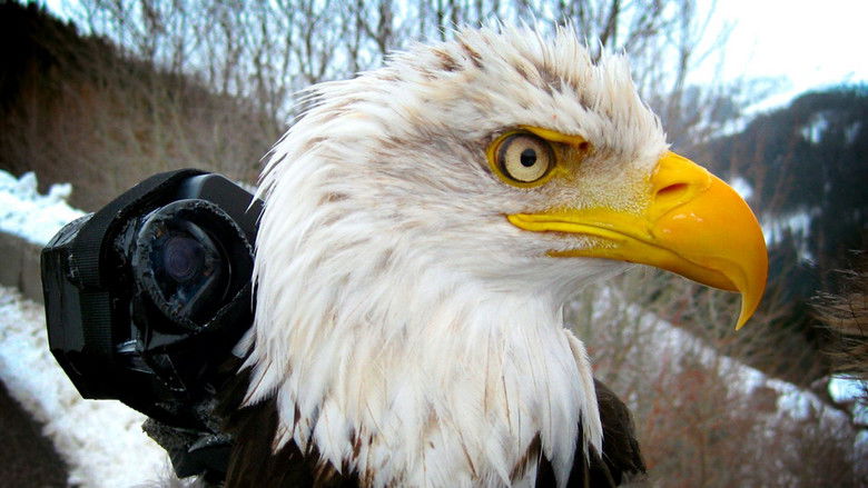 кадр из фильма Earthflight