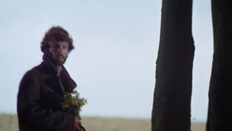 кадр из фильма Любители музыки